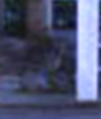 e0103408_21373310.jpg