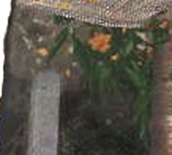 e0103408_21385363.jpg