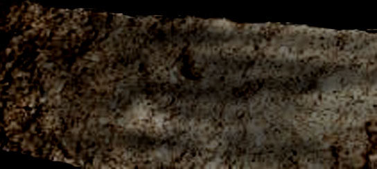 e0103408_21391139.jpg