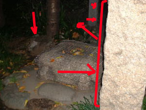 e0103408_21392686.jpg