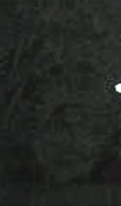 e0103408_21394550.jpg
