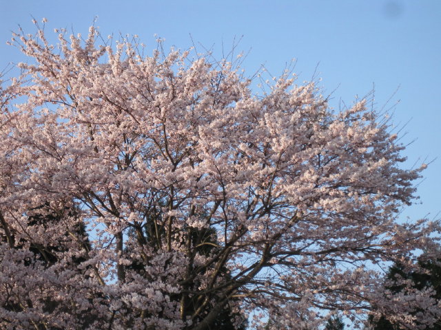 d0006512_23344010.jpg