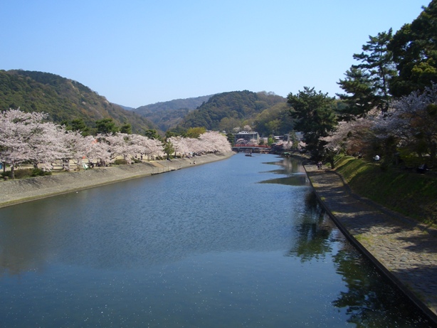 e0033713_20232288.jpg