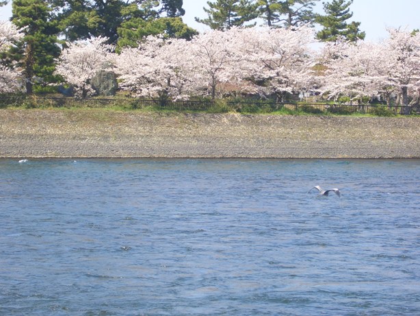e0033713_20375012.jpg