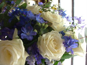 c0212214_151781.jpg