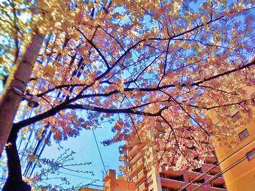 c0229214_1973158.jpg