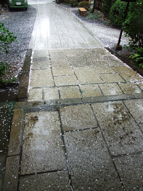 d0119217_2257107.jpg