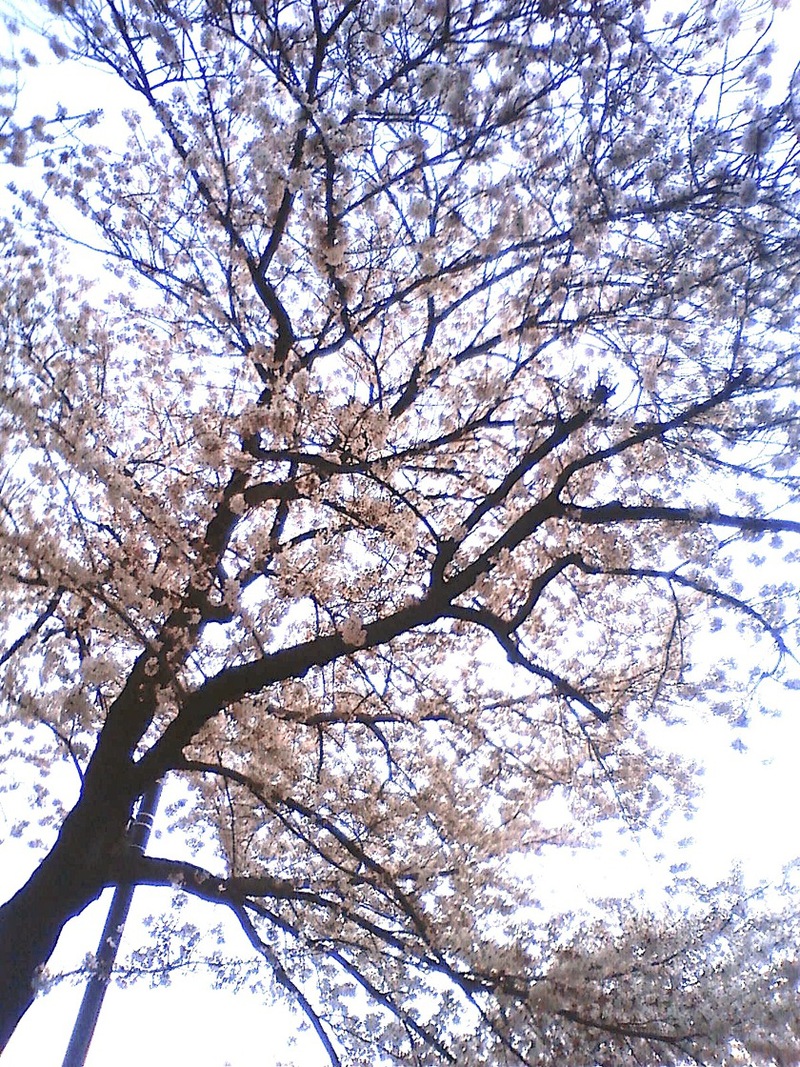 b0150018_22115955.jpg