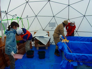 e0002820_22433688.jpg