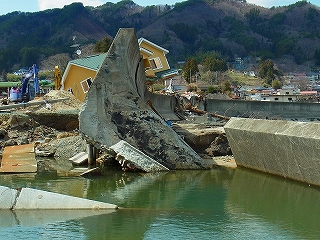 e0002820_2244162.jpg