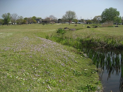 f0139520_21103920.jpg