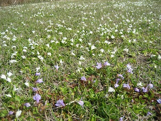 f0139520_21105463.jpg
