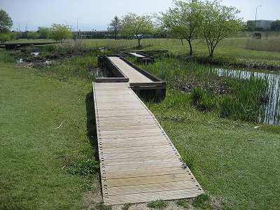 f0139520_2111890.jpg
