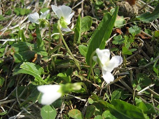 f0139520_21303079.jpg