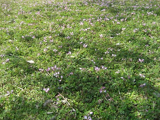 f0139520_21304846.jpg
