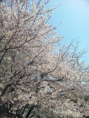 f0143521_0371988.jpg