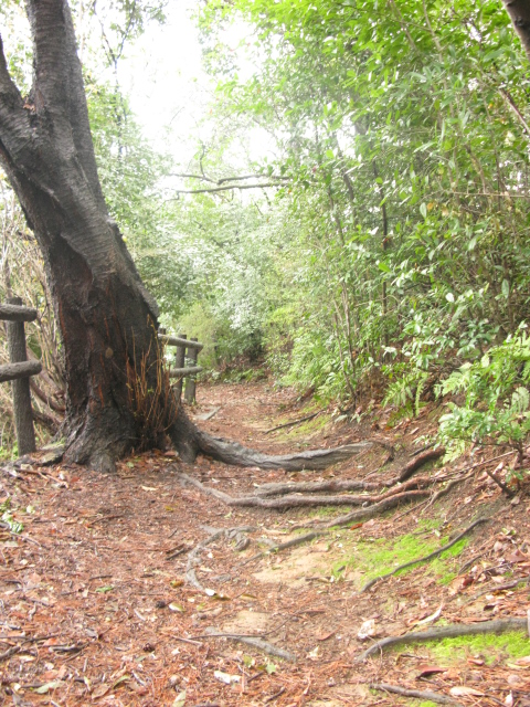 f0222722_9372946.jpg
