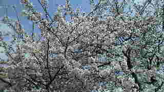 e0208623_21554960.jpg