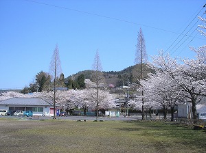 a0111225_2054014.jpg