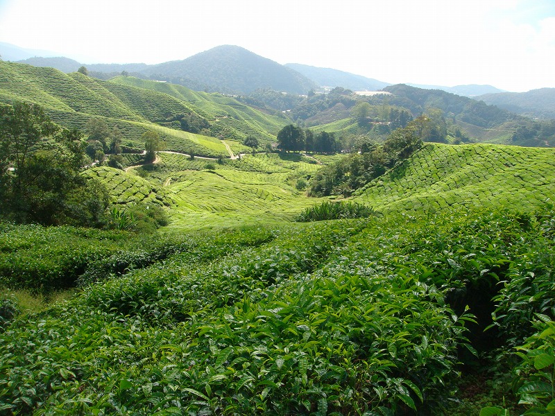 d0159325_14184095.jpg