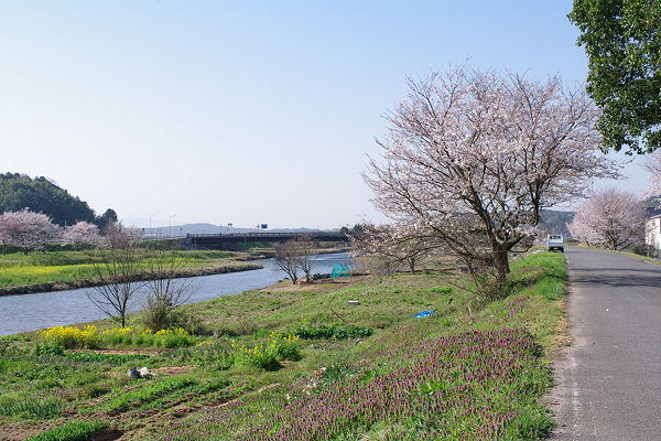 f0007926_21234619.jpg
