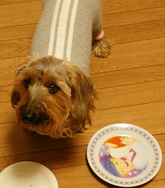 f0046128_2238579.jpg