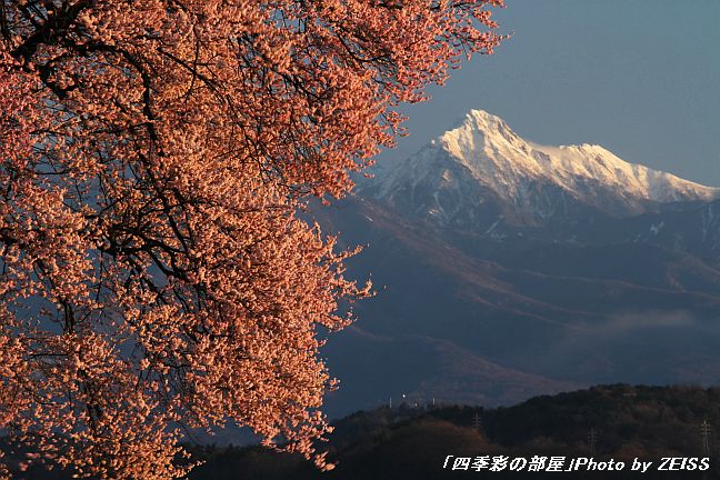 a0195032_9185774.jpg