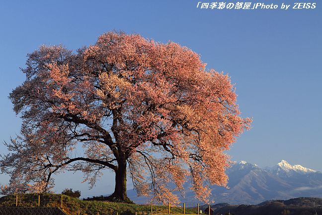 a0195032_9242968.jpg