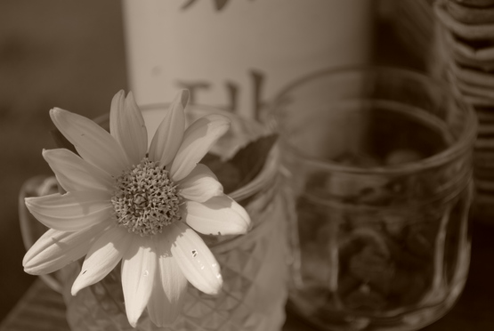 f0238332_16561076.jpg