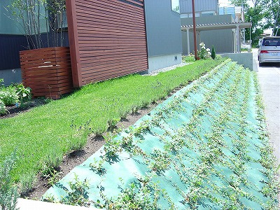 f0205733_22422791.jpg