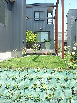 f0205733_22424147.jpg