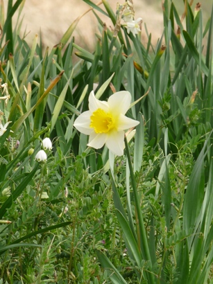 c0100534_2210867.jpg