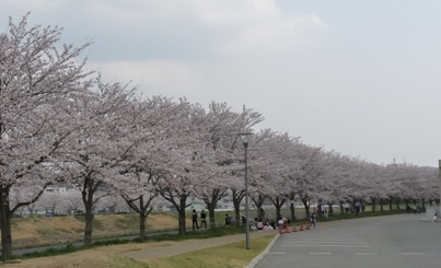 c0100534_2216566.jpg
