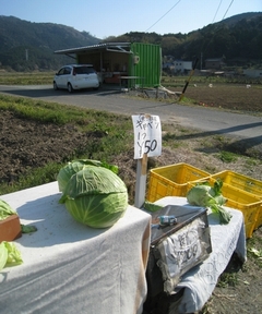 c0134734_1344229.jpg