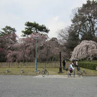 d0033734_15351431.jpg