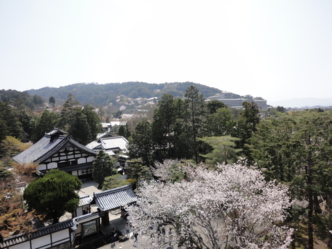d0219834_5513429.jpg