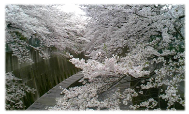f0034334_17282154.jpg