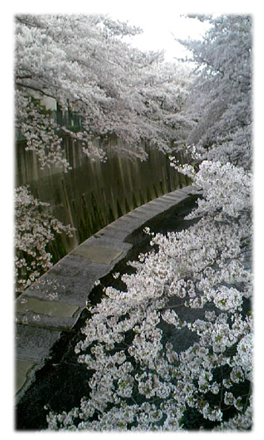 f0034334_1728302.jpg