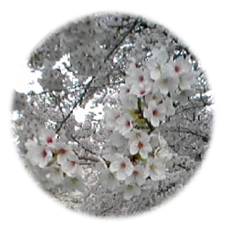 f0034334_17284753.jpg