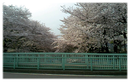 f0034334_21352868.jpg