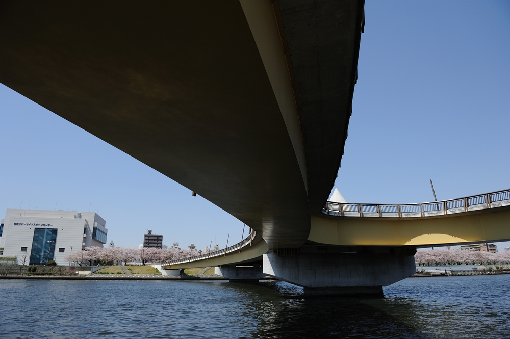 c0221838_1751622.jpg