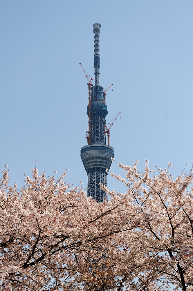c0221838_17533135.jpg