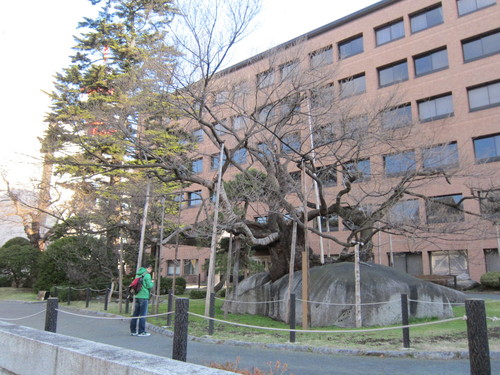 d0156438_12151939.jpg