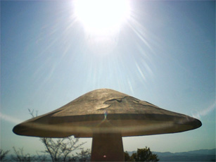 e0160242_1453993.jpg
