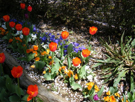 e0206042_12575471.jpg