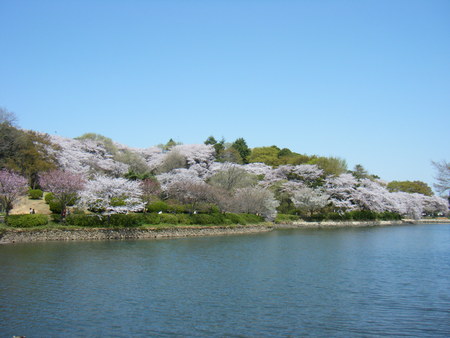 e0206042_12591290.jpg