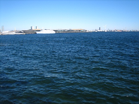 d0223645_1814398.jpg
