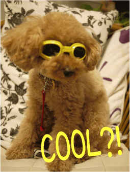b0182846_14353979.gif