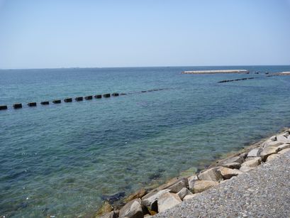 f0039446_18165583.jpg