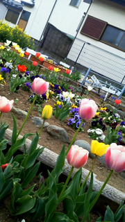 f0179947_23192599.jpg